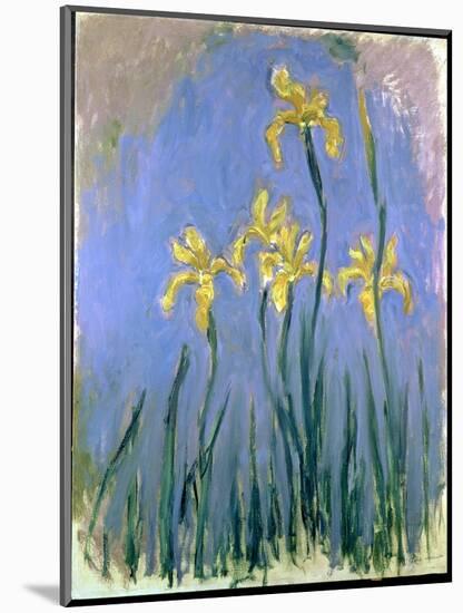 The Yellow Irises, C.1918-25-Claude Monet-Mounted Giclee Print