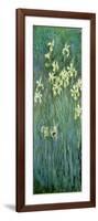 The Yellow Irises-Claude Monet-Framed Giclee Print