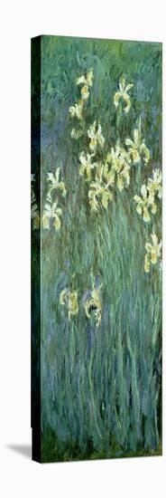 The Yellow Irises-Claude Monet-Stretched Canvas