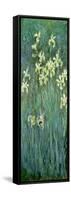 The Yellow Irises-Claude Monet-Framed Stretched Canvas