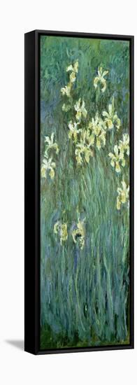 The Yellow Irises-Claude Monet-Framed Stretched Canvas