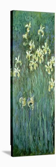 The Yellow Irises-Claude Monet-Stretched Canvas