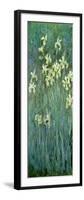 The Yellow Irises-Claude Monet-Framed Premium Giclee Print