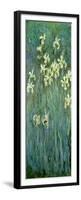 The Yellow Irises-Claude Monet-Framed Premium Giclee Print