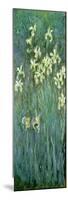 The Yellow Irises-Claude Monet-Mounted Premium Giclee Print