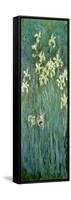 The Yellow Irises-Claude Monet-Framed Stretched Canvas