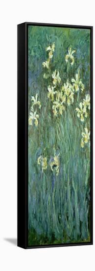 The Yellow Irises-Claude Monet-Framed Stretched Canvas