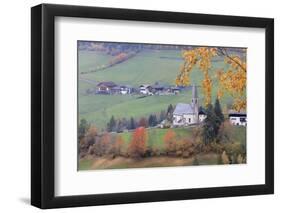 The yellow leaves of a larch frame the alpine church in the fall, St. Magdalena, Funes Valley, Sout-Roberto Moiola-Framed Photographic Print
