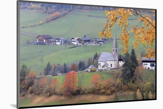 The yellow leaves of a larch frame the alpine church in the fall, St. Magdalena, Funes Valley, Sout-Roberto Moiola-Mounted Photographic Print