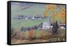 The yellow leaves of a larch frame the alpine church in the fall, St. Magdalena, Funes Valley, Sout-Roberto Moiola-Framed Stretched Canvas