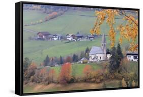 The yellow leaves of a larch frame the alpine church in the fall, St. Magdalena, Funes Valley, Sout-Roberto Moiola-Framed Stretched Canvas