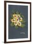 The Yellow Primrose 2012-Joan Thewsey-Framed Giclee Print