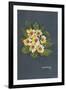 The Yellow Primrose 2012-Joan Thewsey-Framed Giclee Print