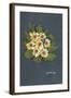 The Yellow Primrose 2012-Joan Thewsey-Framed Giclee Print