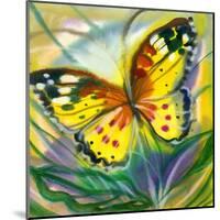 The Yellow-Red Butterfly In Flight-balaikin2009-Mounted Art Print