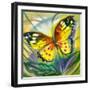 The Yellow-Red Butterfly In Flight-balaikin2009-Framed Art Print