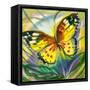 The Yellow-Red Butterfly In Flight-balaikin2009-Framed Stretched Canvas