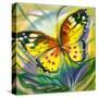 The Yellow-Red Butterfly In Flight-balaikin2009-Stretched Canvas
