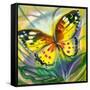 The Yellow-Red Butterfly In Flight-balaikin2009-Framed Stretched Canvas