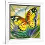 The Yellow-Red Butterfly In Flight-balaikin2009-Framed Art Print