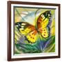 The Yellow-Red Butterfly In Flight-balaikin2009-Framed Art Print