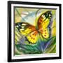 The Yellow-Red Butterfly In Flight-balaikin2009-Framed Art Print