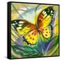 The Yellow-Red Butterfly In Flight-balaikin2009-Framed Stretched Canvas