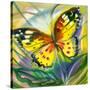 The Yellow-Red Butterfly In Flight-balaikin2009-Stretched Canvas