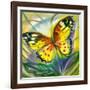 The Yellow-Red Butterfly In Flight-balaikin2009-Framed Art Print