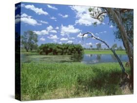 The Yellow Water Wetlands on Floodplain of the Alligator River, Kakadu National Park, Australia-Robert Francis-Stretched Canvas