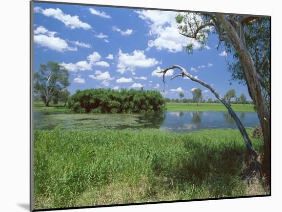 The Yellow Water Wetlands on Floodplain of the Alligator River, Kakadu National Park, Australia-Robert Francis-Mounted Photographic Print