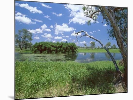 The Yellow Water Wetlands on Floodplain of the Alligator River, Kakadu National Park, Australia-Robert Francis-Mounted Photographic Print