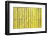 The Yellow Wood Texture with Natural Patterns-Madredus-Framed Photographic Print