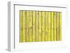 The Yellow Wood Texture with Natural Patterns-Madredus-Framed Photographic Print