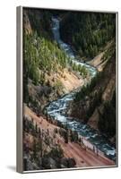 The Yellowstone River Carves Through The Grand Canyon Of The Yellowstone, Yellowstone National Park-Bryan Jolley-Framed Photographic Print