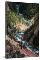 The Yellowstone River Carves Through The Grand Canyon Of The Yellowstone, Yellowstone National Park-Bryan Jolley-Stretched Canvas