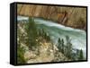 The Yellowstone River, Yellowstone National Park, Wyoming, USA-Charles Gurche-Framed Stretched Canvas