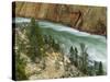 The Yellowstone River, Yellowstone National Park, Wyoming, USA-Charles Gurche-Stretched Canvas