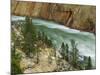 The Yellowstone River, Yellowstone National Park, Wyoming, USA-Charles Gurche-Mounted Photographic Print