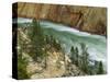 The Yellowstone River, Yellowstone National Park, Wyoming, USA-Charles Gurche-Stretched Canvas