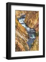 The Yellowstone River, Yellowstone National Park, Wyoming, USA.-Russ Bishop-Framed Photographic Print