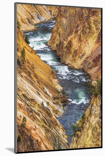 The Yellowstone River, Yellowstone National Park, Wyoming, USA.-Russ Bishop-Mounted Photographic Print