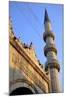 The Yeni Camii (New Mosque), Istanbul, Turkey, Europe, Eurasia-Simon Montgomery-Mounted Photographic Print