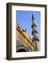 The Yeni Camii (New Mosque), Istanbul, Turkey, Europe, Eurasia-Simon Montgomery-Framed Photographic Print