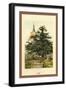 The Yew-W.h.j. Boot-Framed Art Print