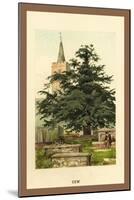 The Yew-W.h.j. Boot-Mounted Art Print