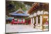 The Yomeimon Gate of Tosho-Gu Shrine, Nikko, Japan-null-Mounted Giclee Print