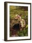 The Young Anglers-James Charles-Framed Giclee Print