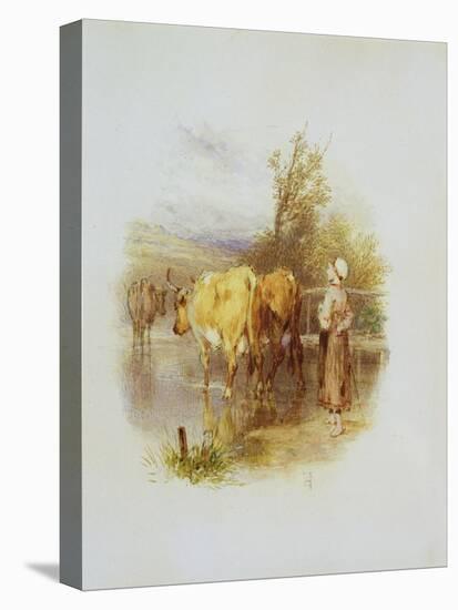 The Young Cowherd-Myles Birket Foster-Stretched Canvas