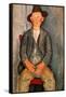 The Young Farmer, 1918-Amedeo Modigliani-Framed Stretched Canvas